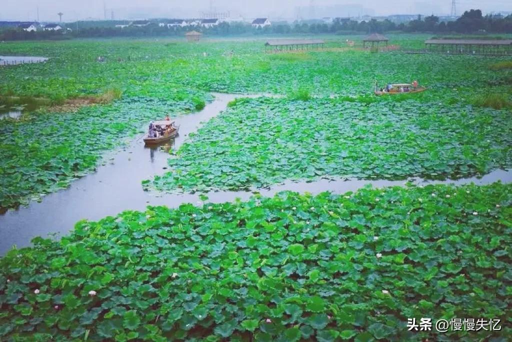 荷花唯美古诗词推荐（11首荷花唯美宋词）