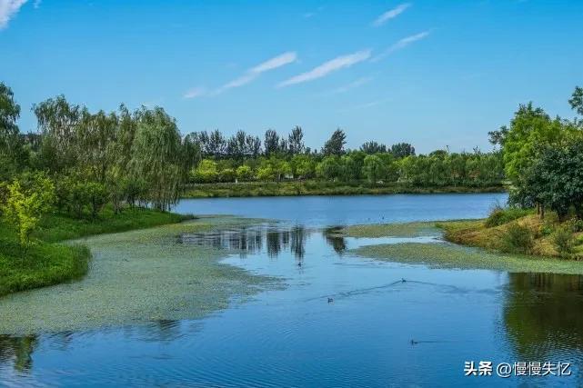 初夏唯美古诗大全（20首初夏经典诗词）