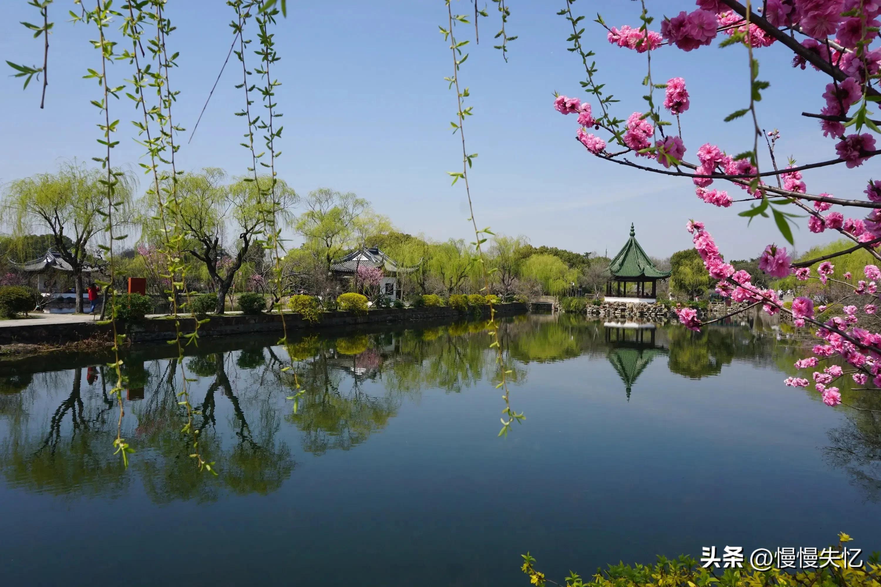 春日唯美古诗大全（草色青青柳色黄，桃花历乱李花香）