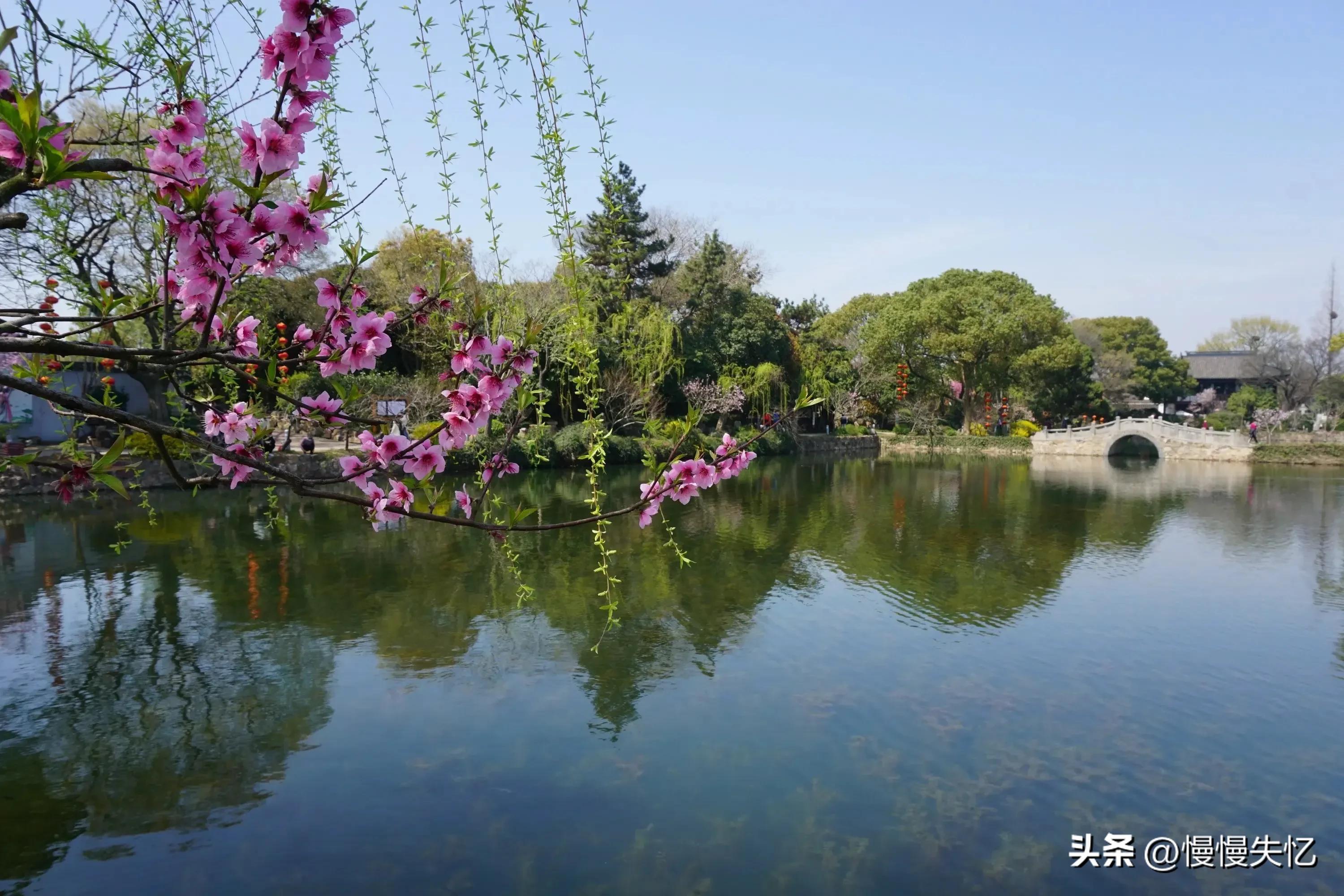 春日唯美古诗大全（草色青青柳色黄，桃花历乱李花香）