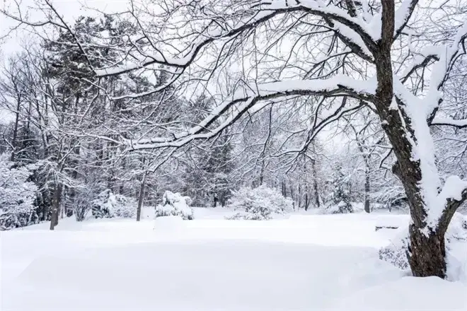 咏雪唯美古诗有哪些（咏雪古诗词六首）