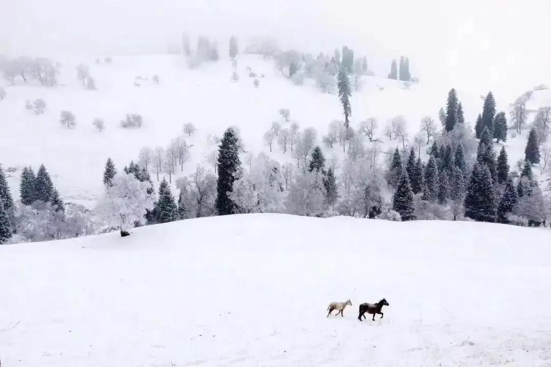 青海长云暗雪山，孤城遥望玉门关（十首唯美边塞雪景古诗）