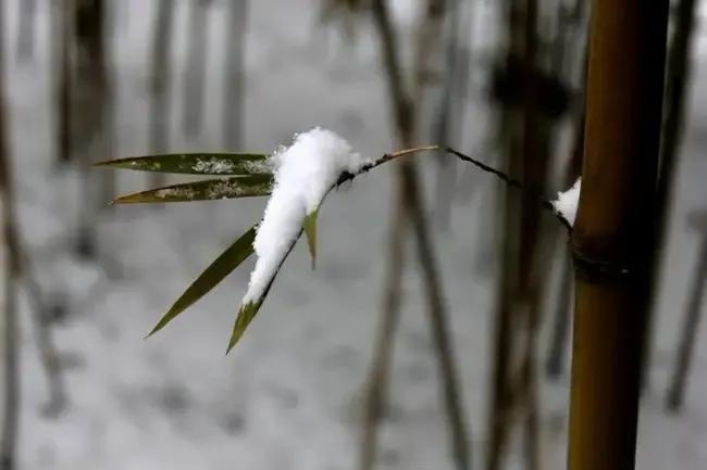 雪后初晴古诗六首（倚杖望晴雪，溪云几万重）