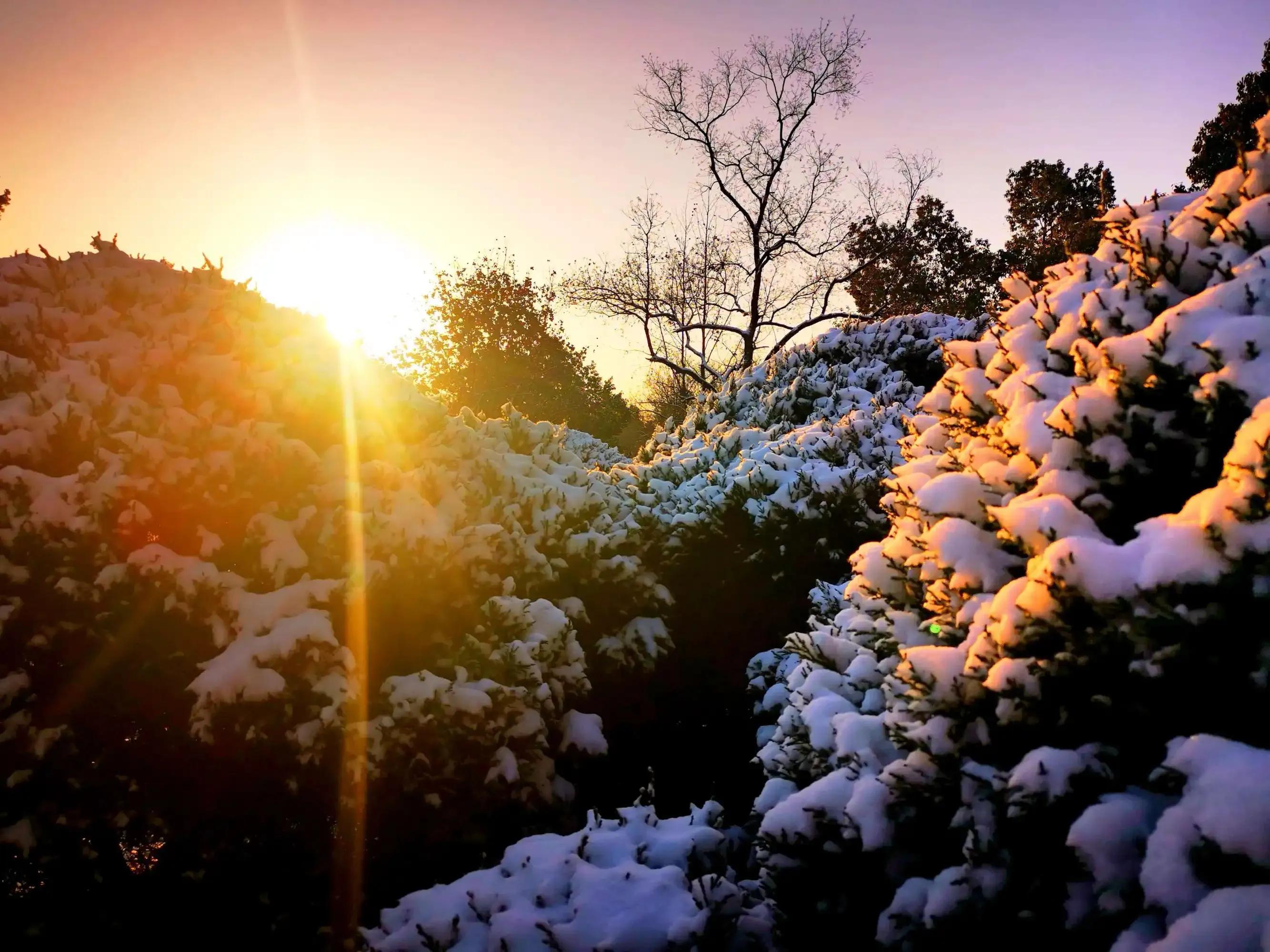 雪后初晴古诗六首（倚杖望晴雪，溪云几万重）