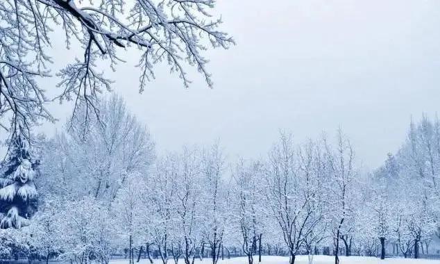 优美的下雪诗词二十首（应是天仙狂醉，乱把白云揉碎）