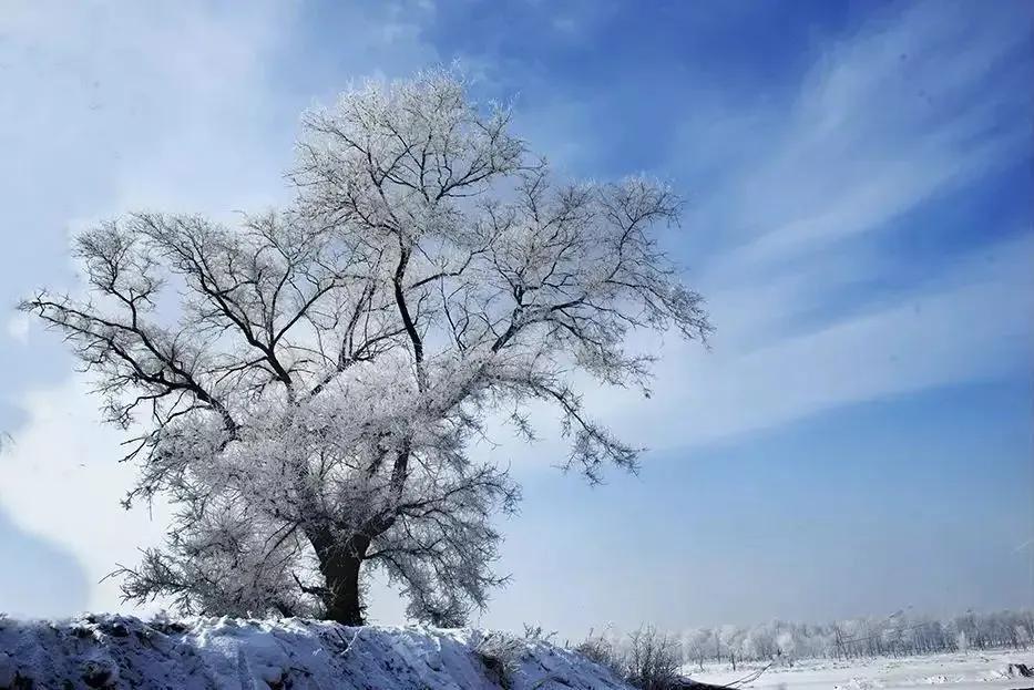 优美的下雪诗词二十首（应是天仙狂醉，乱把白云揉碎）