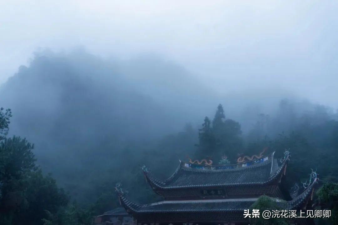 朝看花开满树红，暮看花落树还空（10首有禅意的古诗词）