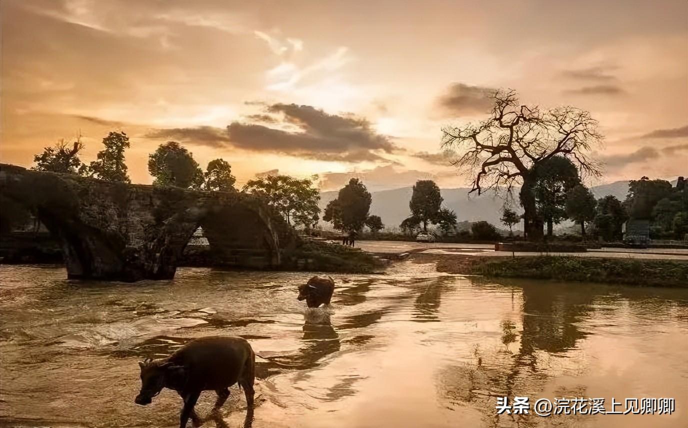 朝看花开满树红，暮看花落树还空（10首有禅意的古诗词）