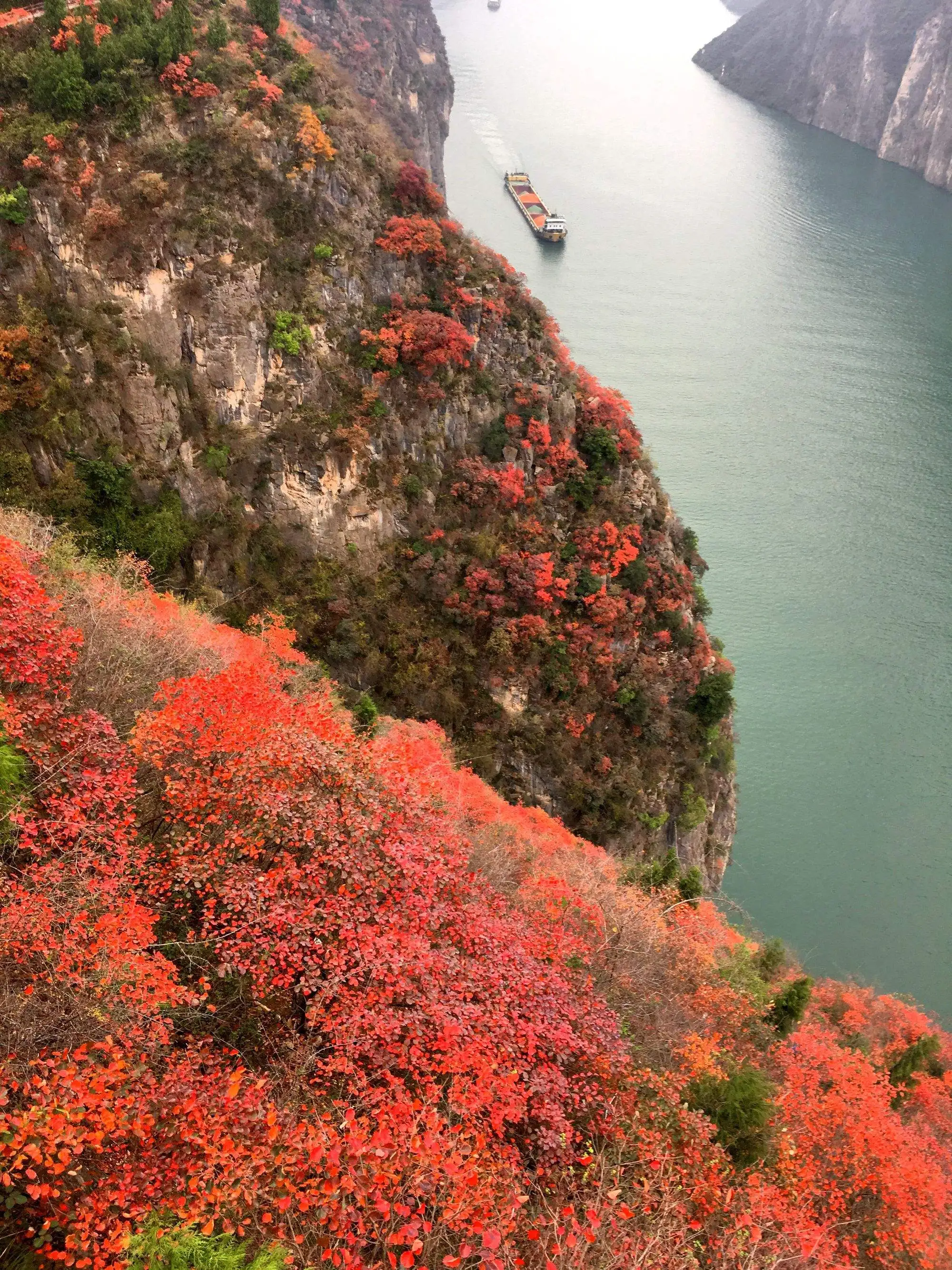 静赏绚烂秋日，慢数似水流年（10首红叶唯美诗词）