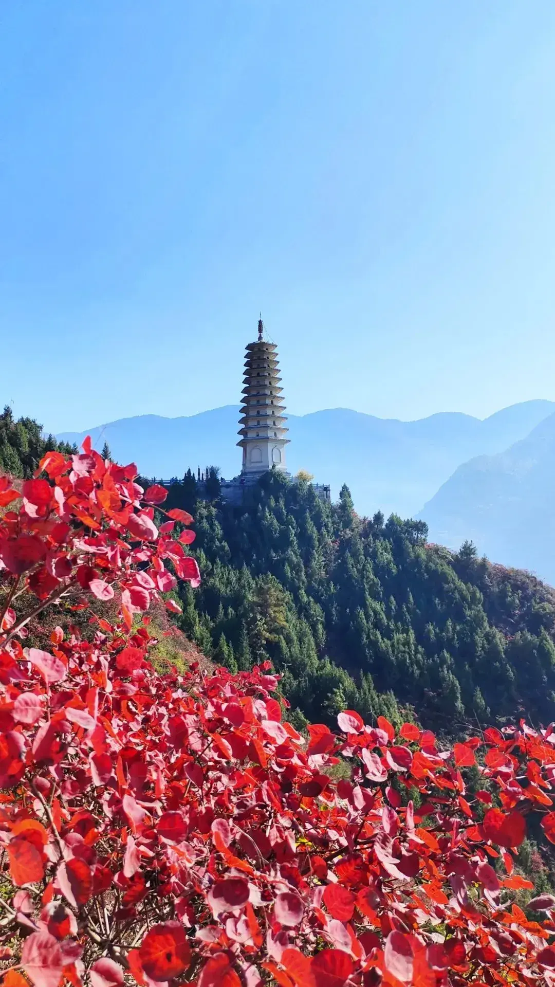 静赏绚烂秋日，慢数似水流年（10首红叶唯美诗词）