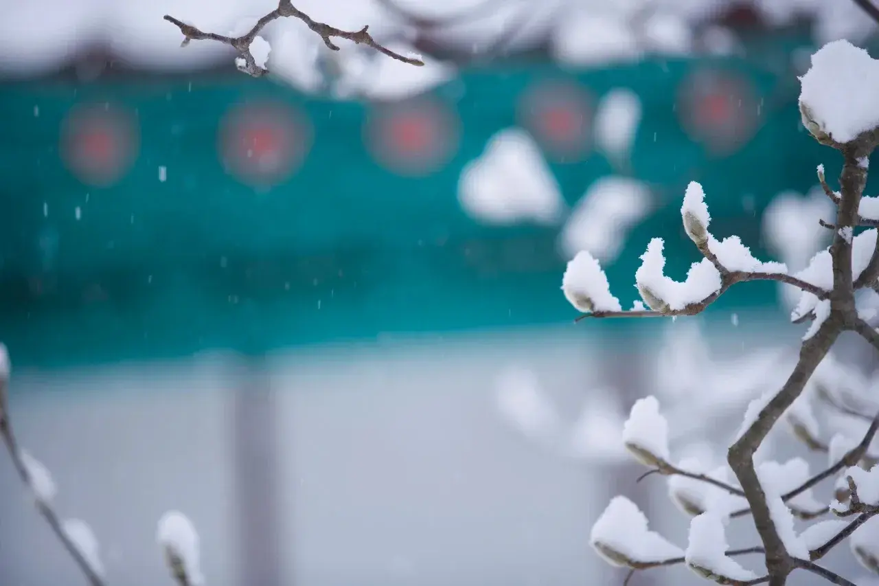 飞雪如花落，岁岁又年年（小雪十首经典诗词）