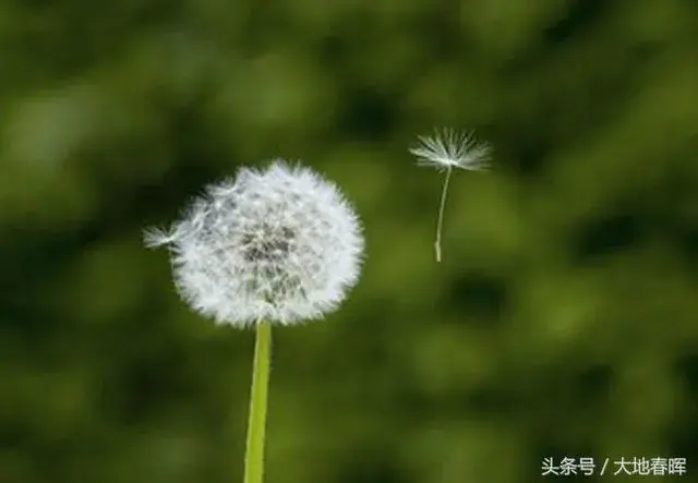 淡雅唯美古风意境诗词（5首意境优美古诗词）