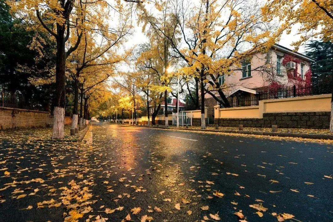 清秋有梦，雨落成诗（10首优美秋雨诗词）