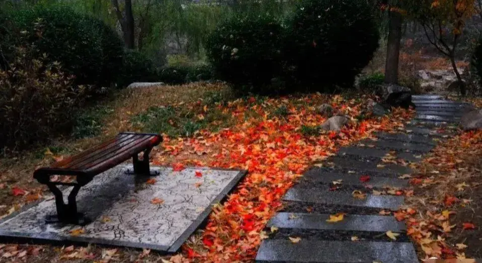 清秋有梦，雨落成诗（10首优美秋雨诗词）