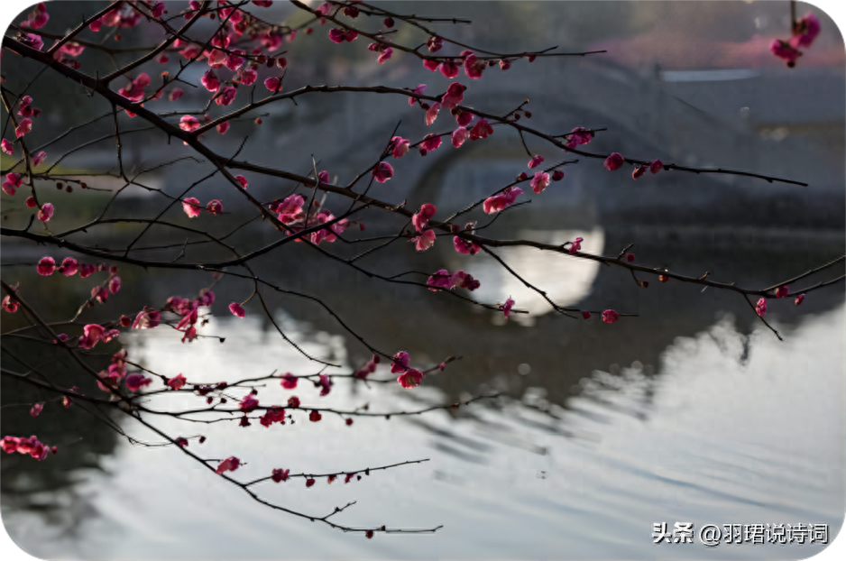  疏影横斜水清浅，暗香浮动月黄昏（10首唯美梅花诗词）