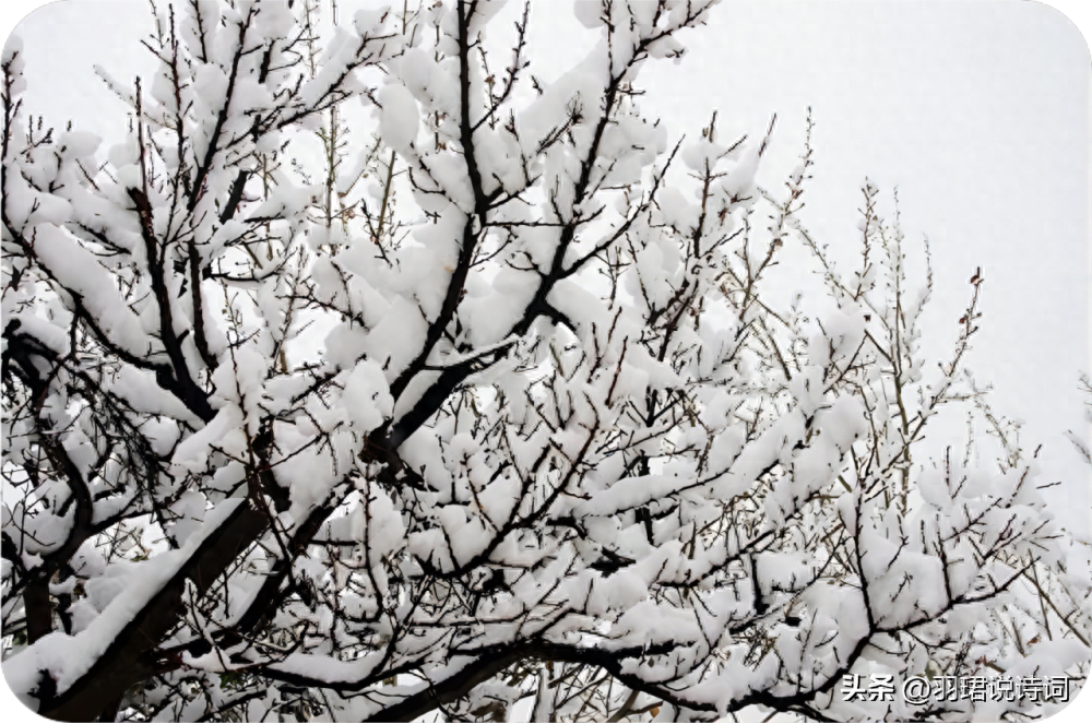 描写雪景古诗词鉴赏（10首治愈的唯美下雪诗词）