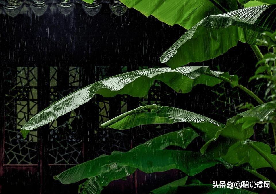 秋雨经典诗词有哪些（8首经典秋雨诗词）