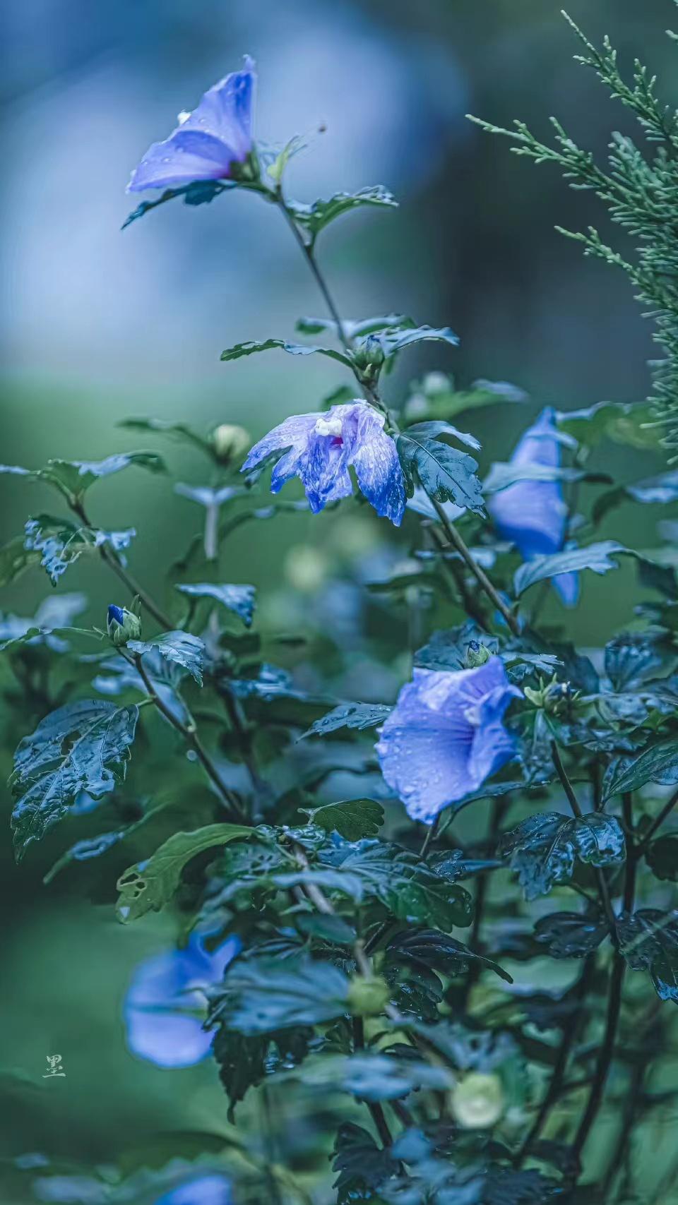 柳永经典的十首词（系我一生心，负你千行泪）