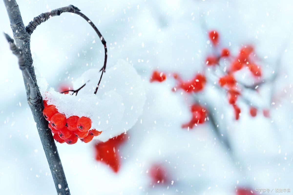 夜深知雪重，雪落又成诗（四首唯美冬雪诗词）