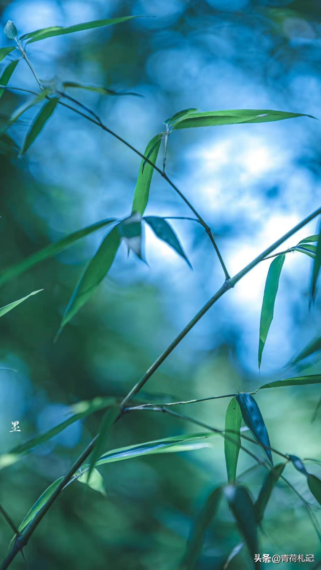 一山一水一浮生，繁花似锦觅安宁（推荐四首静心经典古诗词）