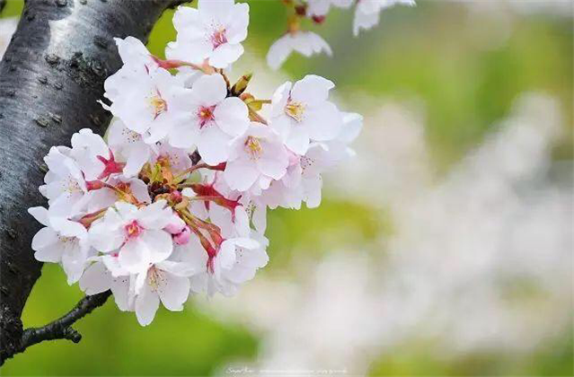 送别夏天经典诗词（经典的5首送别绝句）