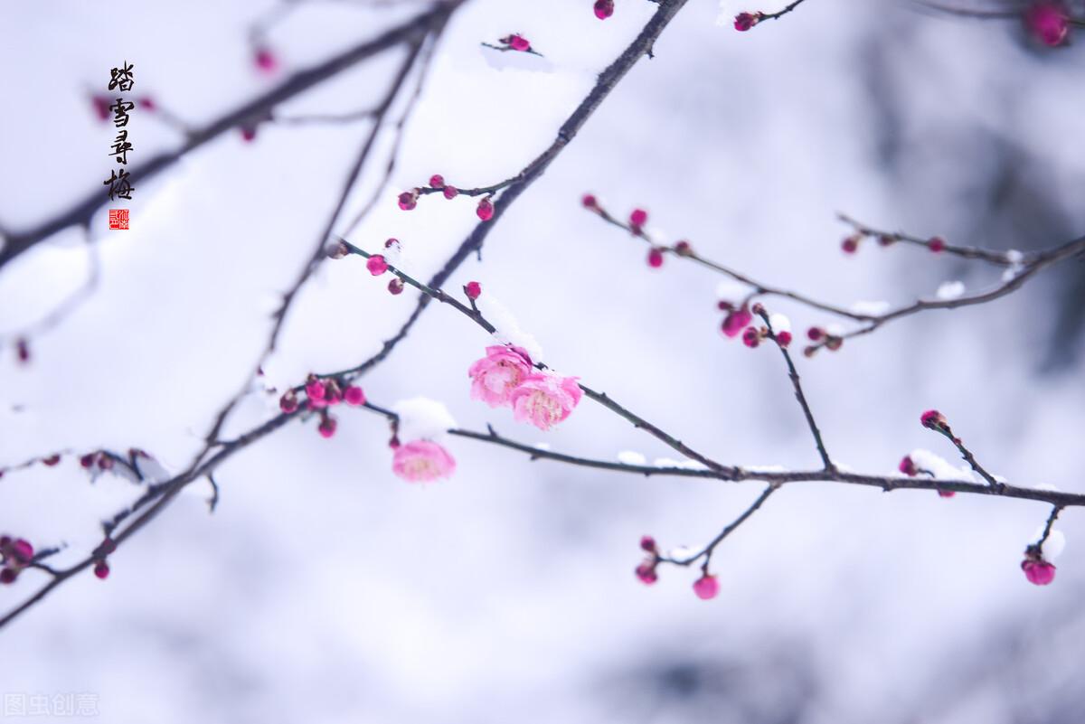 白雪纷飞，天地苍茫（推荐五首描写雪景的古诗词）