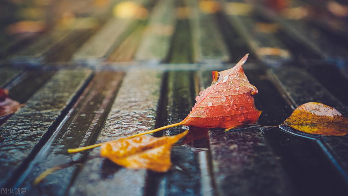 秋雨静心经典诗词（一点寒意，漫上心头）