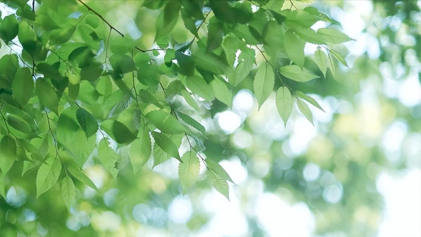 晴日暖风生麦气，绿阴幽草胜花时（10首宋代七言绝句中的初夏）