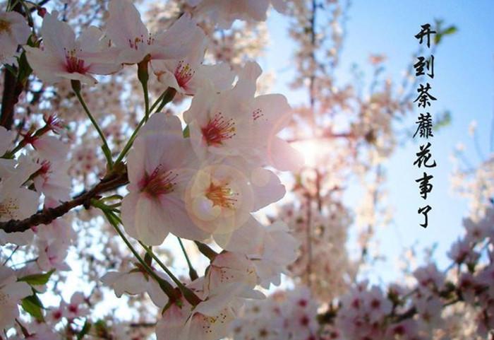 风和日暖才三月，花落春归又一年（推荐优美的暮春诗词）