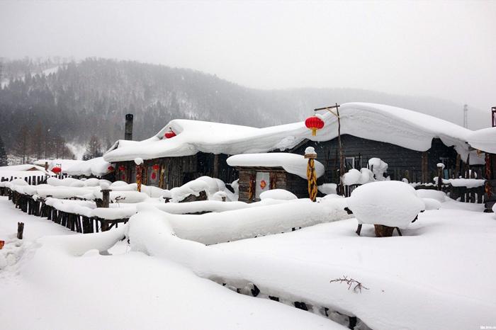 雪的经典诗词大全鉴赏（关于雪的烂漫诗词）