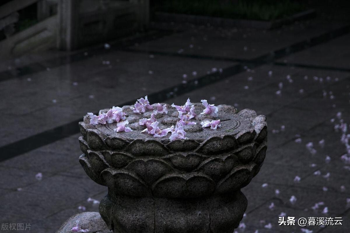 乱红如雨，如梦如仙（分享八首唯美的落花诗词）