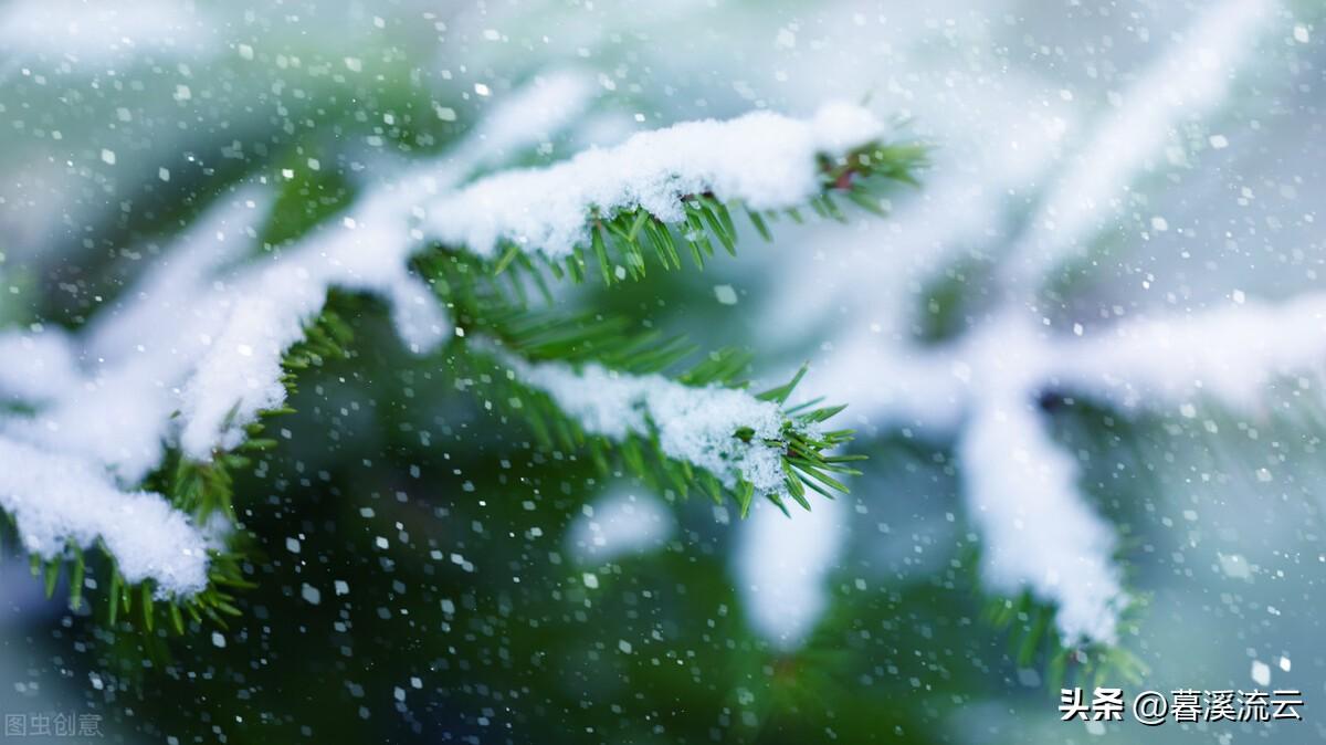 细雨生寒，玉霜满阶（十首轻寒立冬诗词）