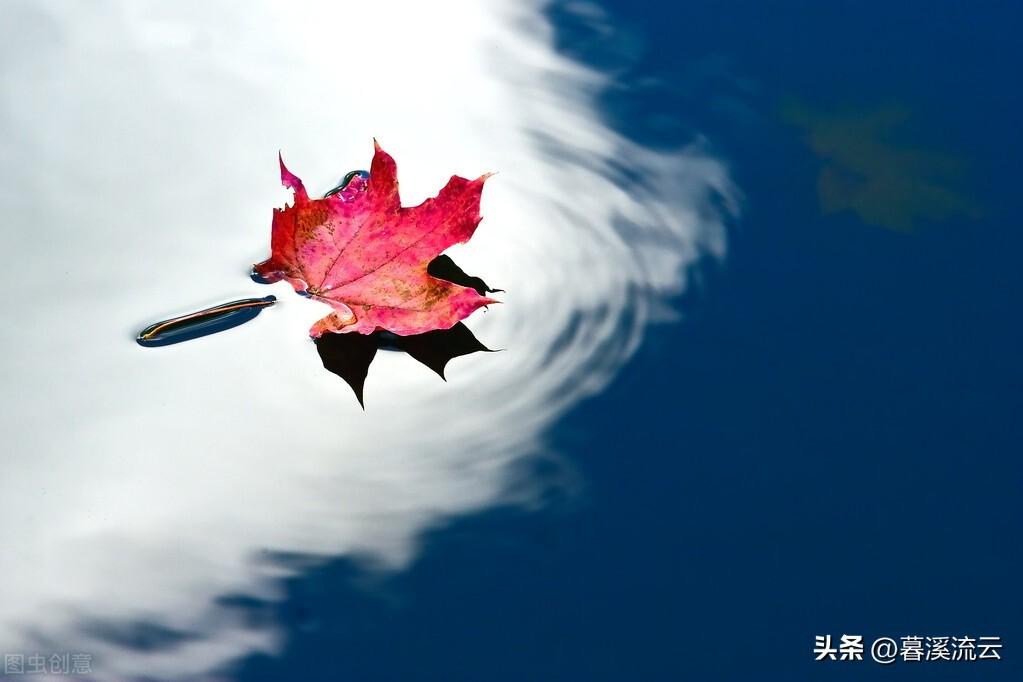 红叶秋雨唯美古诗（十首醉人红叶诗词）