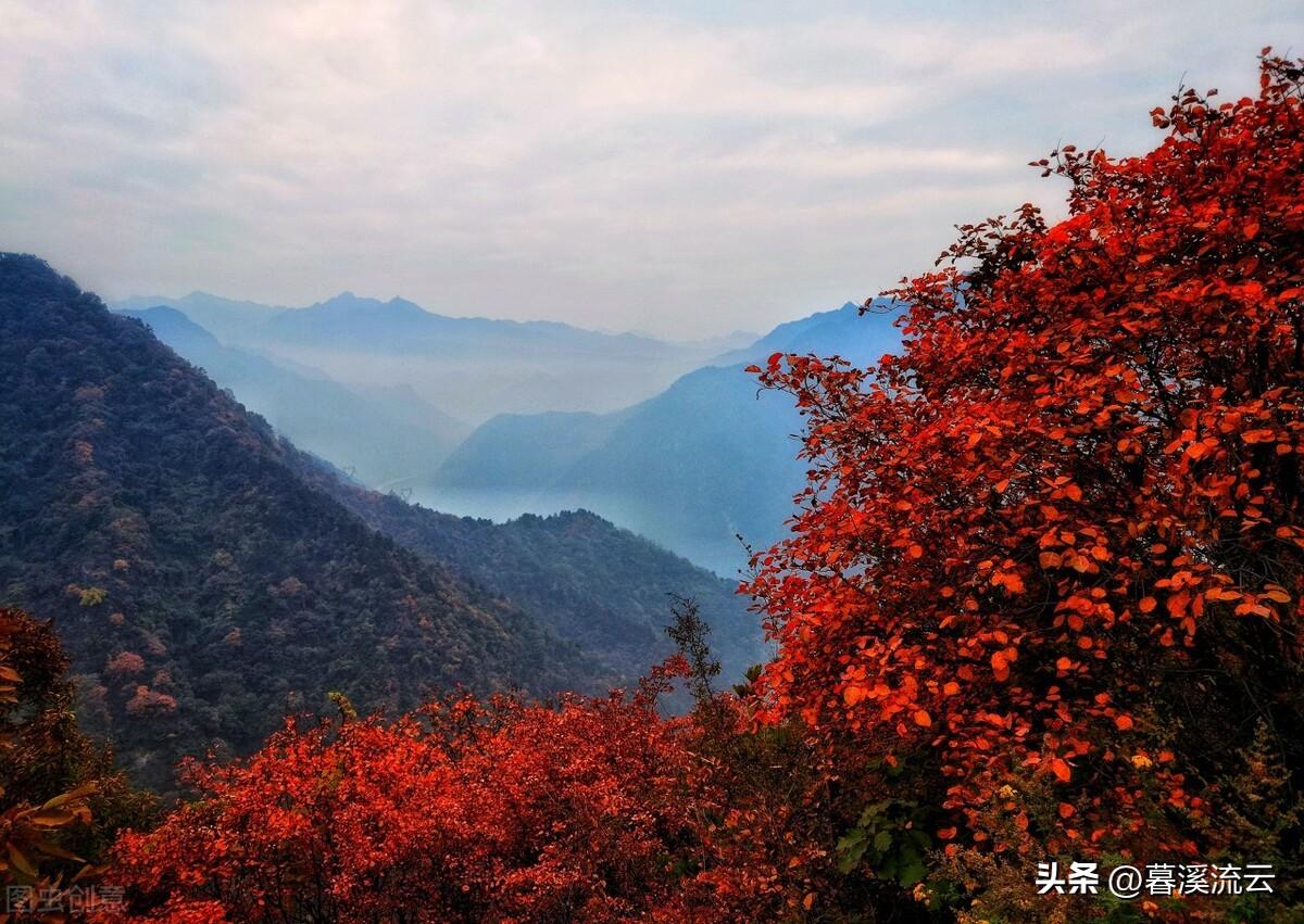 红叶秋雨唯美古诗（十首醉人红叶诗词）