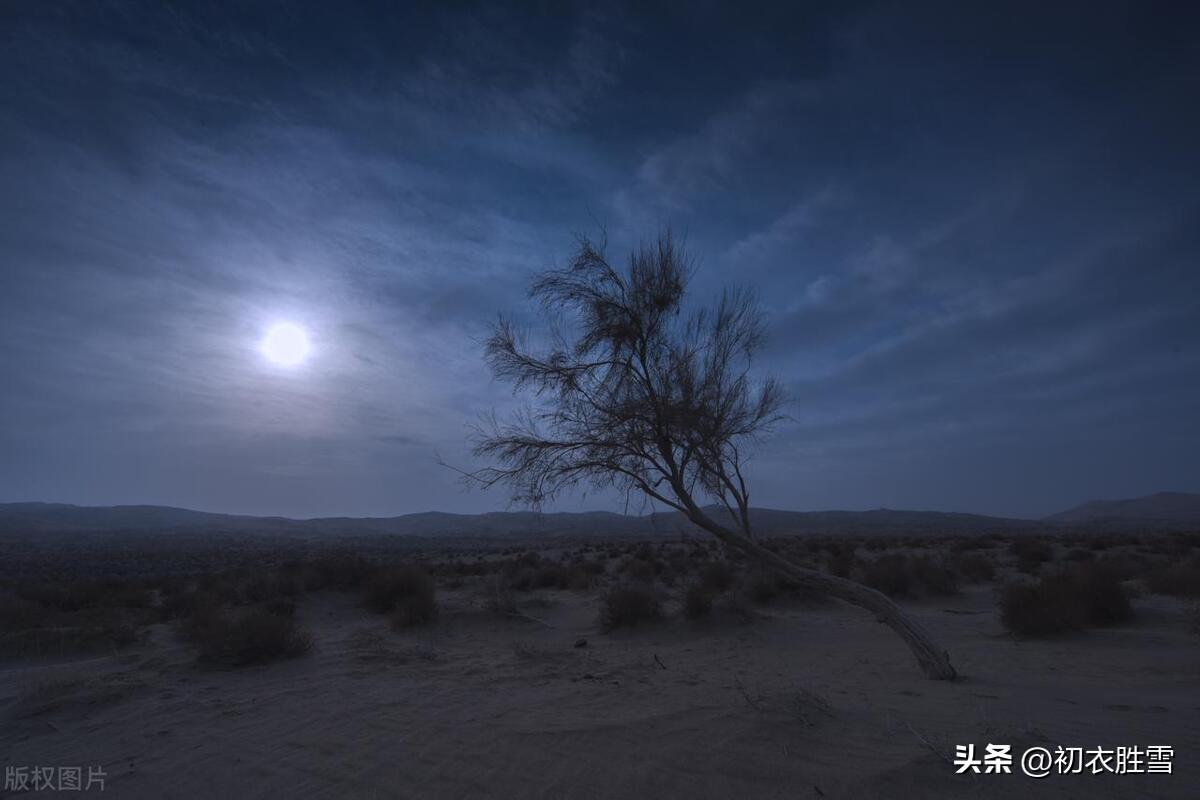 初冬长夜古诗六首鉴赏（孤灯照长夜，鲜鲜有明月）