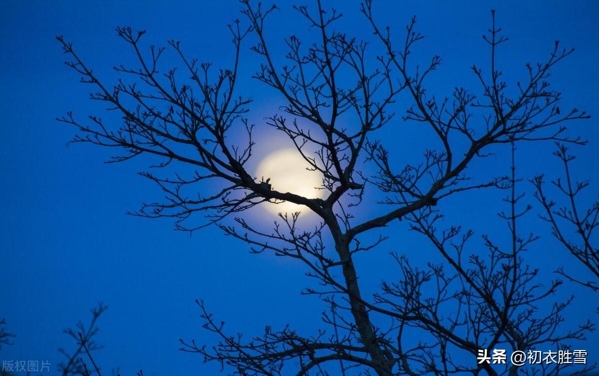 初冬长夜古诗六首鉴赏（孤灯照长夜，鲜鲜有明月）