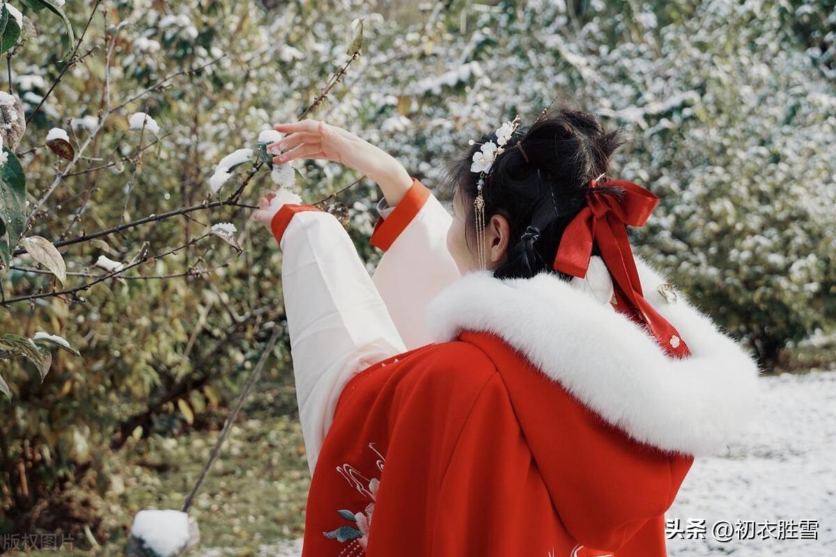 王正小雪辰，共弄初落雪（小雪节气雪诗五首赏读）