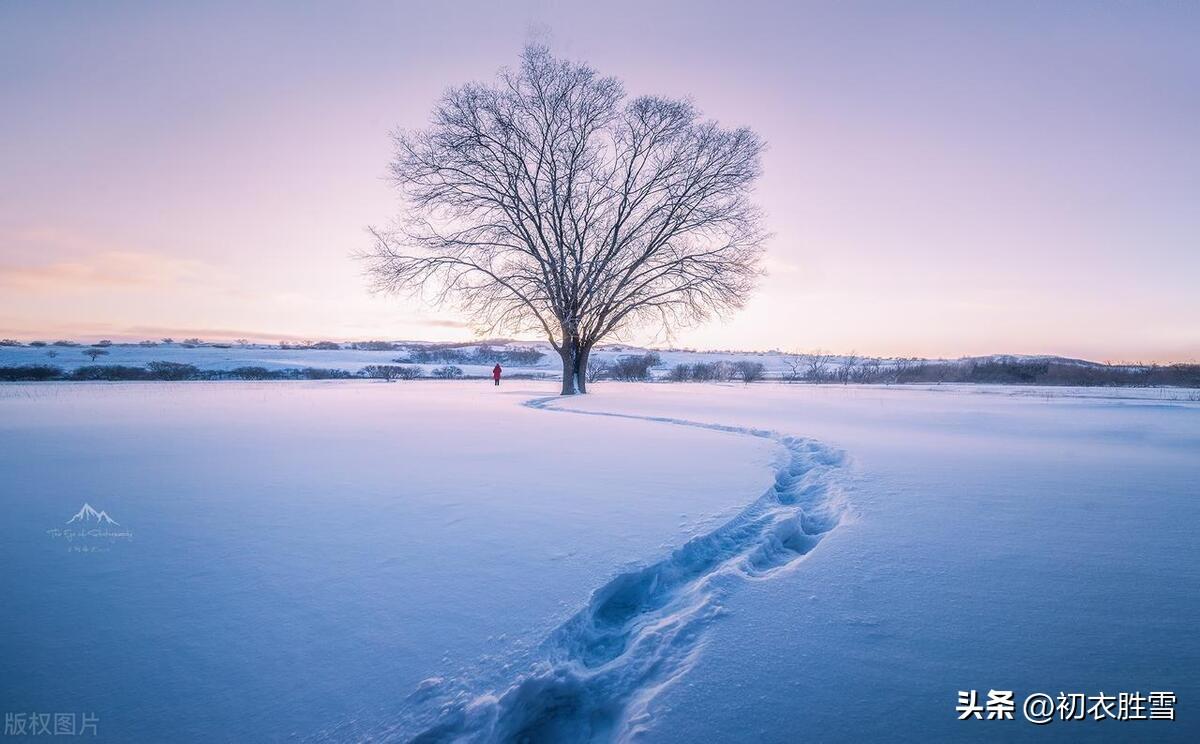 函可五言绝句咏雪诗六首（梅花开易落，白雪长到门）