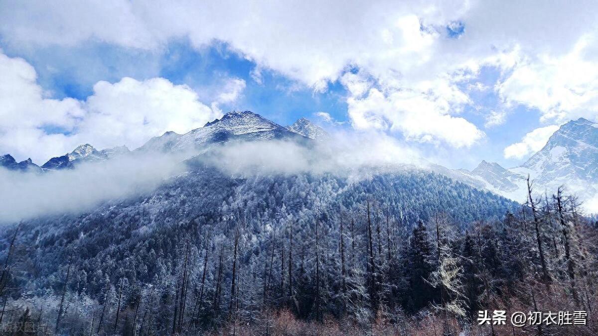 函可五言绝句咏雪诗六首（梅花开易落，白雪长到门）