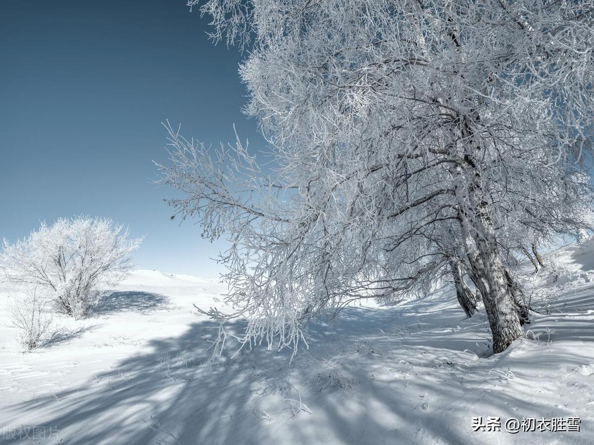 函可五言绝句咏雪诗六首（梅花开易落，白雪长到门）