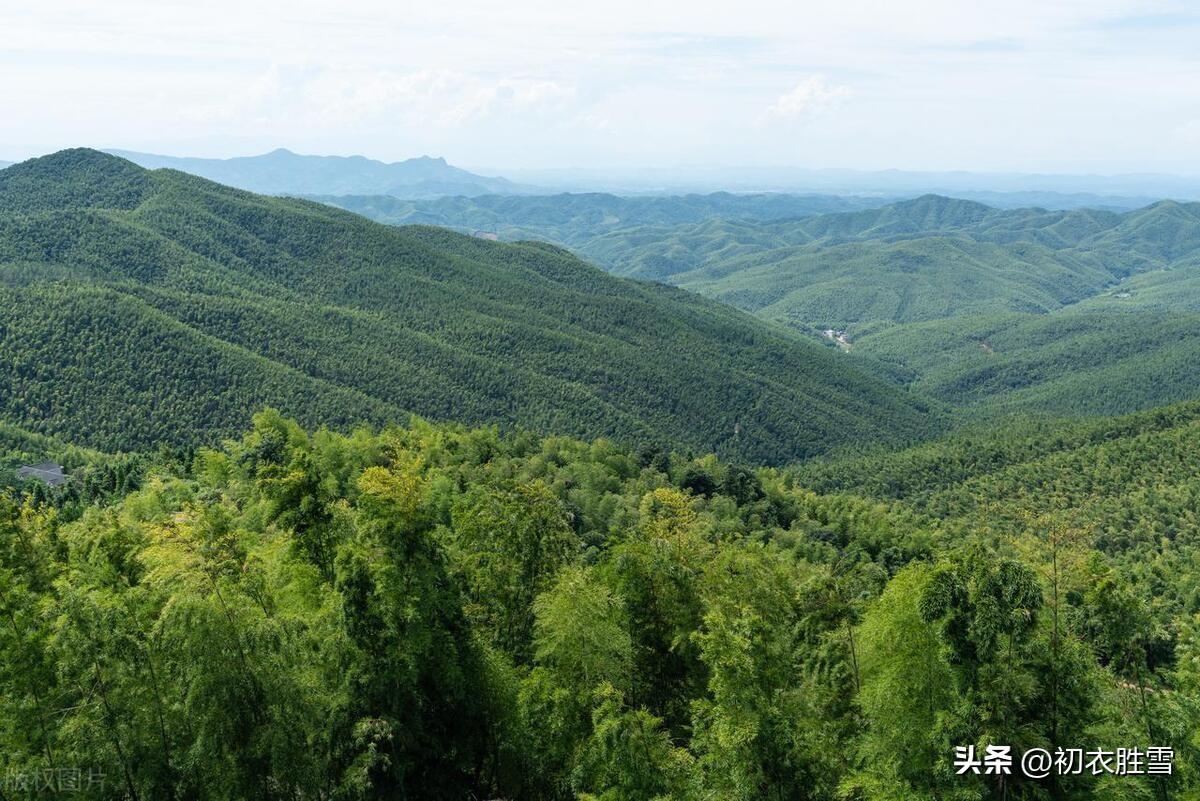 一雨丝丝弄小春，江北江南正小春（早冬小春诗词六首）