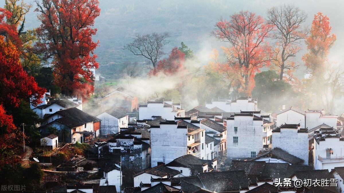 十日晴光连树醉，数峰寒影上楼青（立冬节气古诗五首）