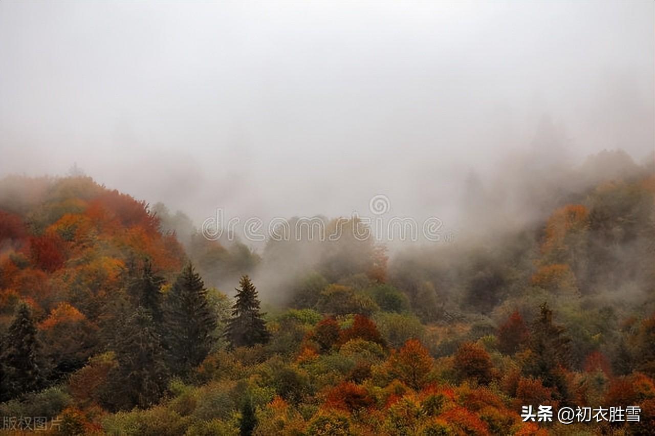 天无风雨不成秋，满天黄叶独登楼（晚秋秋雨诗词六首）