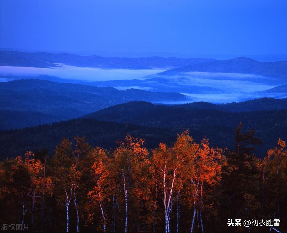 天无风雨不成秋，满天黄叶独登楼（晚秋秋雨诗词六首）