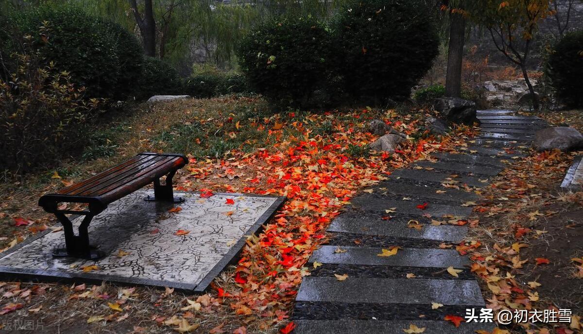 天无风雨不成秋，满天黄叶独登楼（晚秋秋雨诗词六首）