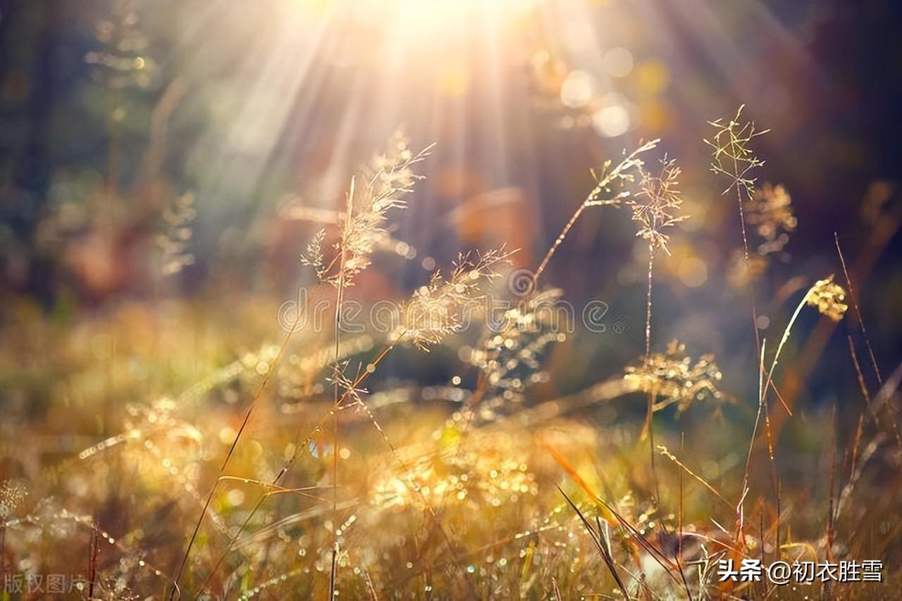 秋草夕阳诗词五首（秋草渡边渡，夕阳山外山）