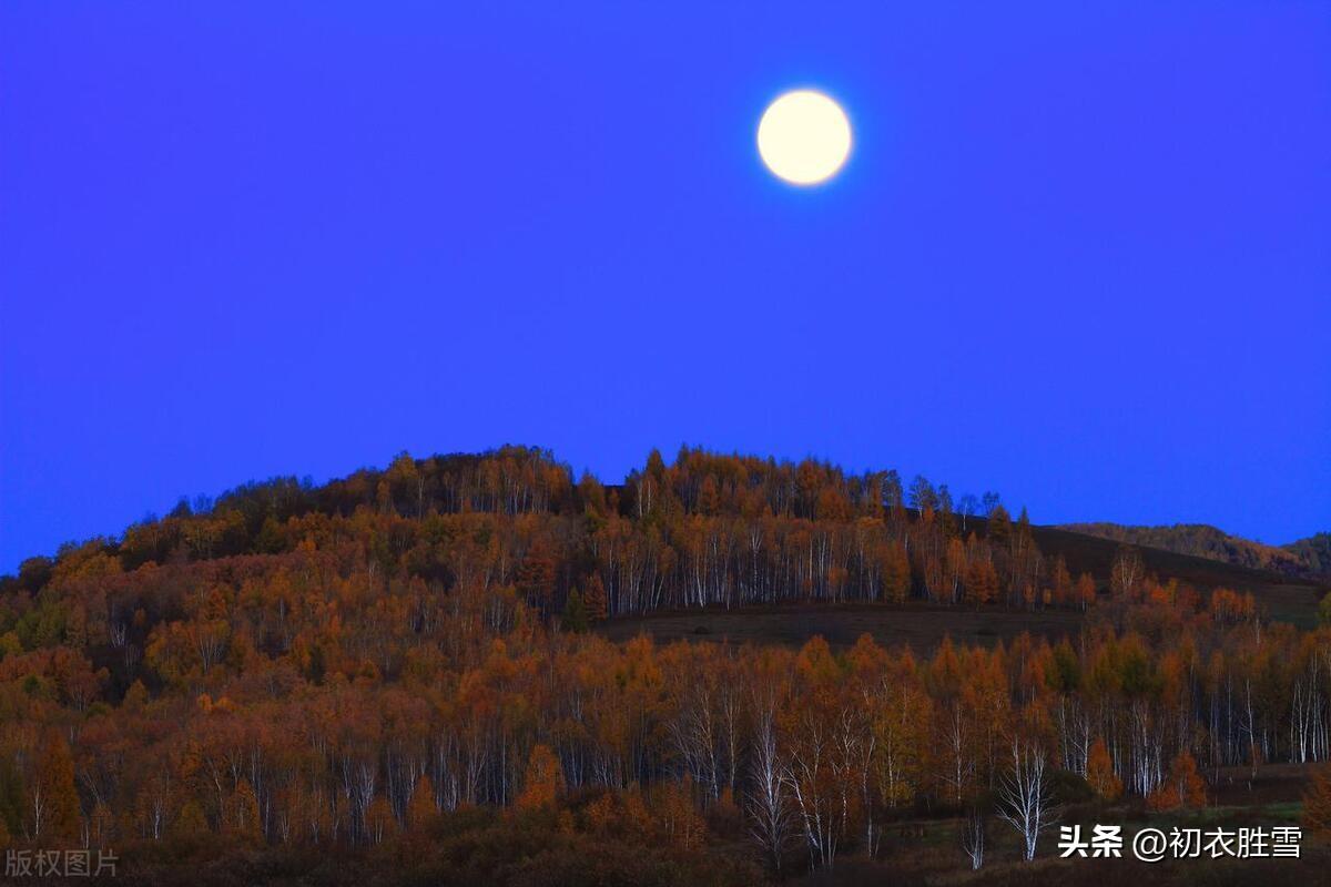 晚秋清美绝句五首（红叶黄花九月天，南山秋色画图鲜）