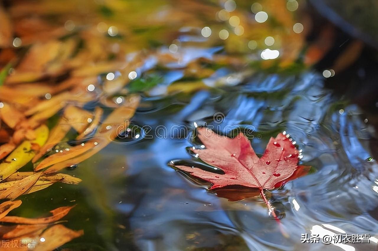 晚秋经典唐诗六首（红树醉秋色，霜叶一时新）