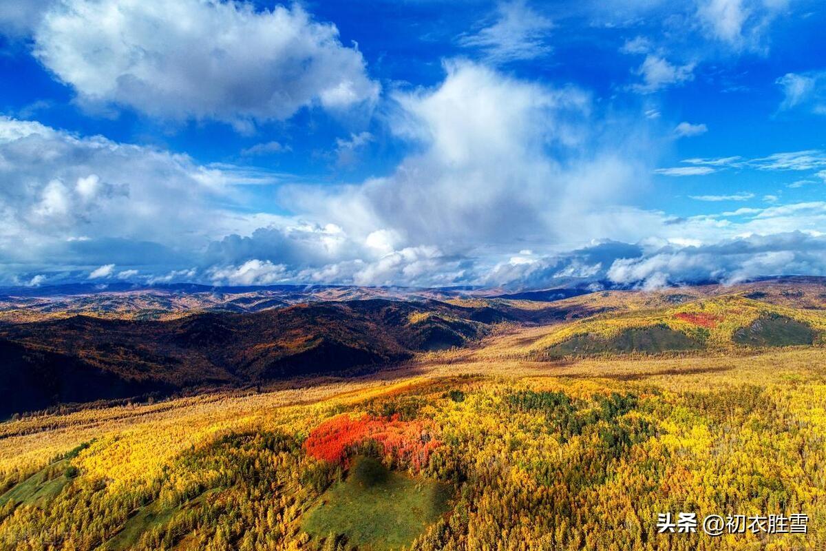 重阳节诗词古句精选（汉崇上巳， 晋纪重阳）