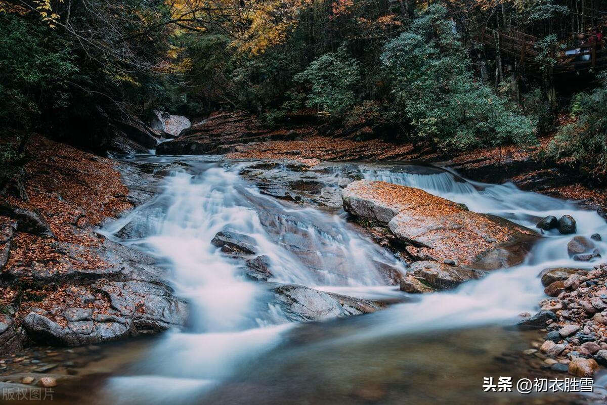 描写秋天经典的诗词名句（明丽秋游诗词六首）